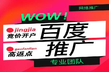某sem公司广告投放实战案例