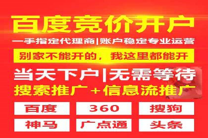 竞价广告的智能投放：XX平台的创新实践